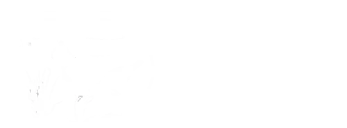 Florida Springs Institute Logo